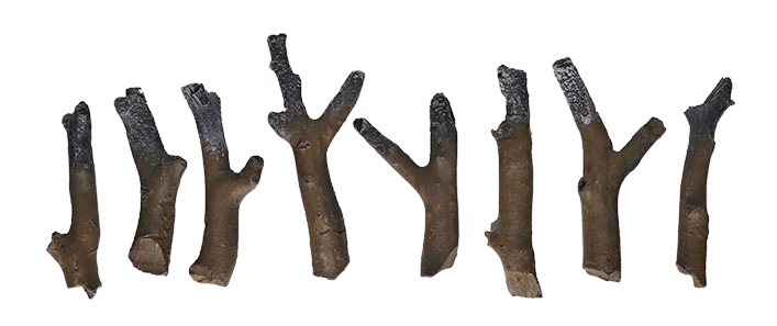 8 Piece Natural Wood log set (for use in electric fireplaces only)