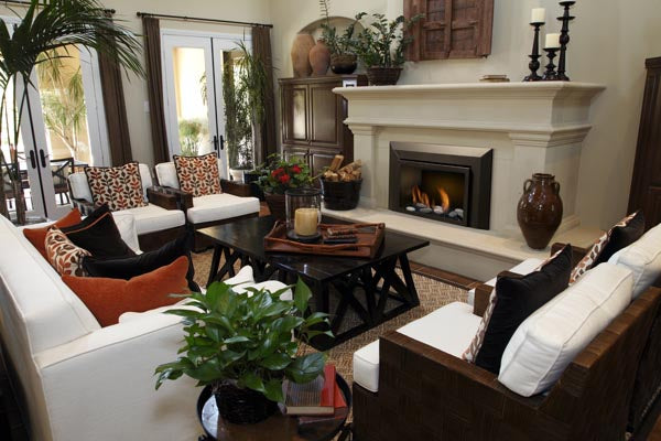 30" Natural Gas Deluxe Direct vent insert w/ Ceramic Brick Panels & Log set