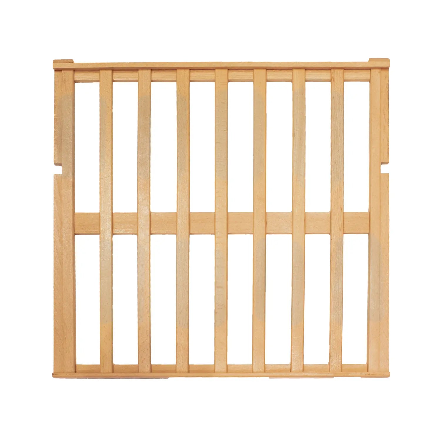 Allavino Cascina Series 50 Bottle Single Zone Freestanding Wine Cooler Refrigerator with Stainless Steel Door